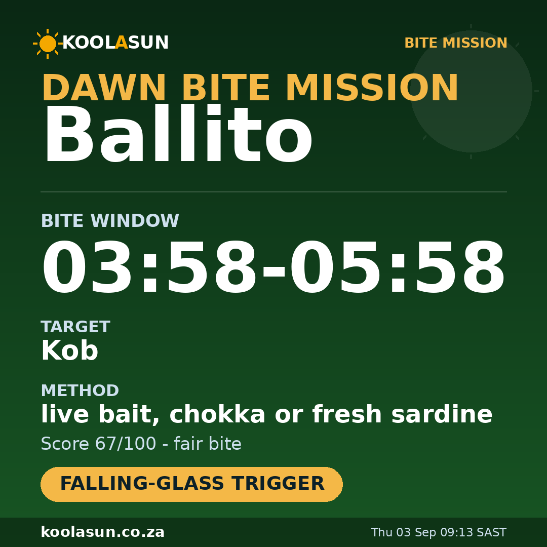 Ballito bite mission card