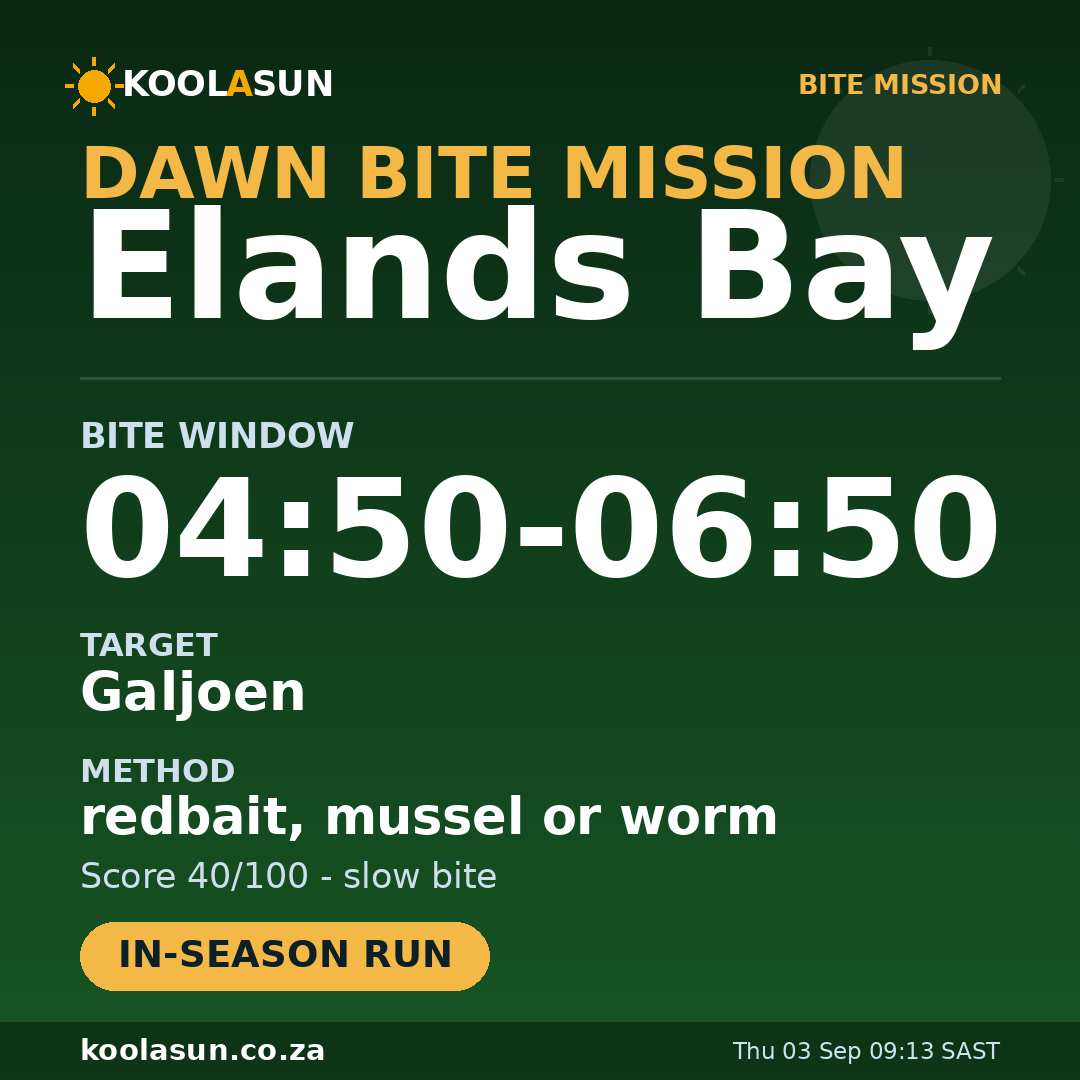 Elands Bay bite mission card