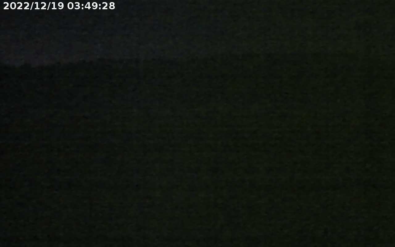Centurion Nature Reserve Live Webcam